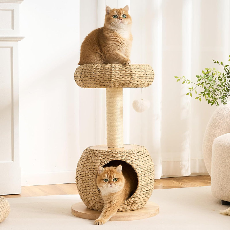 Tour pour arbre à chat Modern Modern