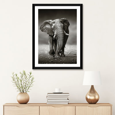 Éléphant approche de l'avant par Johan Swanepoel - reproduction de photo