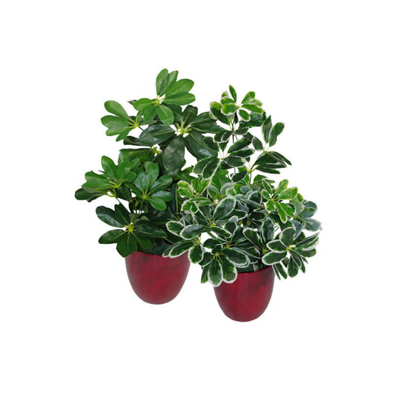55cm Faux Plant in Pot Liner, Dark Green, 55 cm x 30 cm