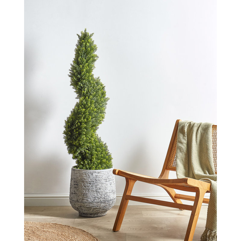 126cm Faux Cypress Tree in Plastic / Acrylic Planter