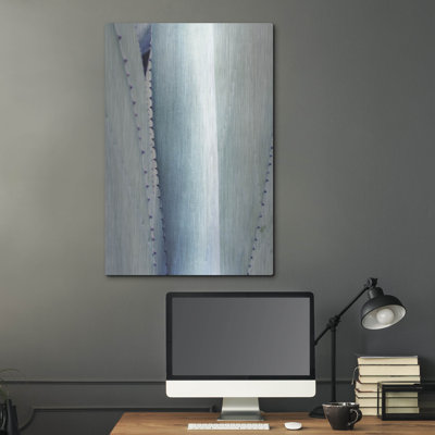 «Pale Blue Agave No. 3» par Lupen Grainne, art mural en métal, 16 po x 24 po