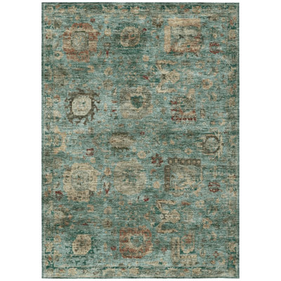 Machine Washable Indoor/Outdoor Chantille ACN2429 Traditional Rug