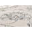 Attell Oriental Indoor Rug-29913148