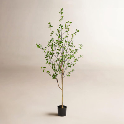78" Tree with Base Included