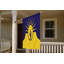 Drapeau de Mesa City — Drapeau extérieur