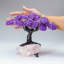 Custom - Amethyst Clustered Gemstone Tree On Rose Quartz Matrix (The Protection Tree)