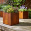 Metal Cube Planter 50cm x 50cm for Indoor and Outdoor Use-1083134913