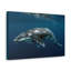 No Frame Print on Canvas-362616565
