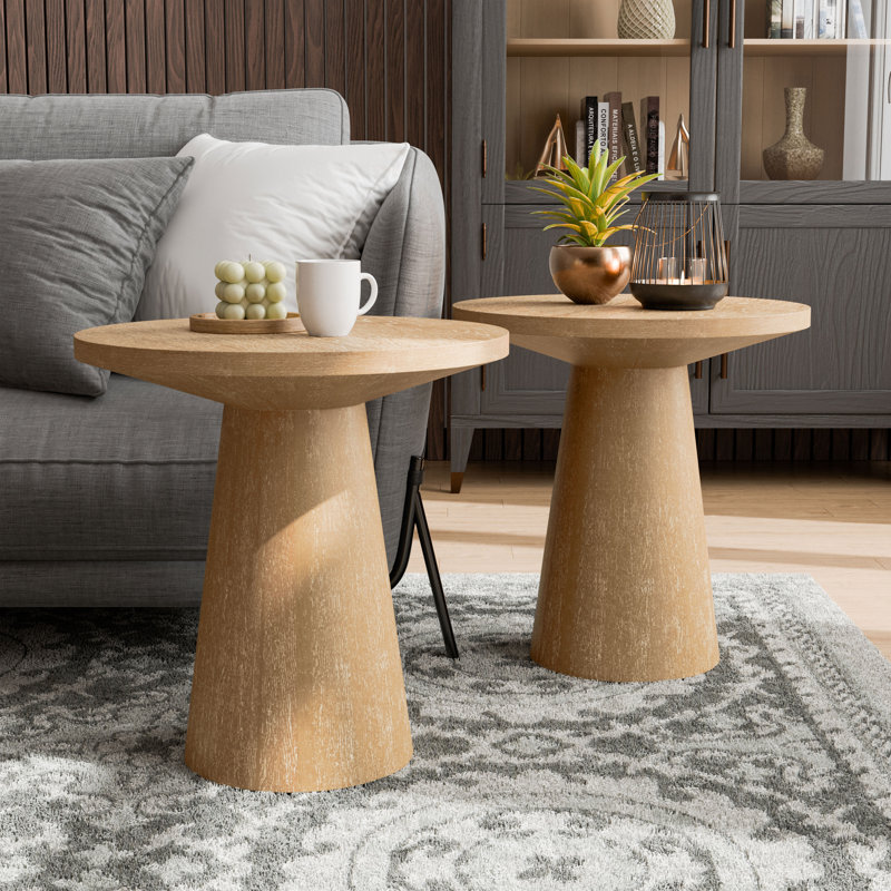 Astromeritis 2-Piece Wood End Table Set