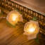 Dov LED Natural Leaf Rose String Light-89691162