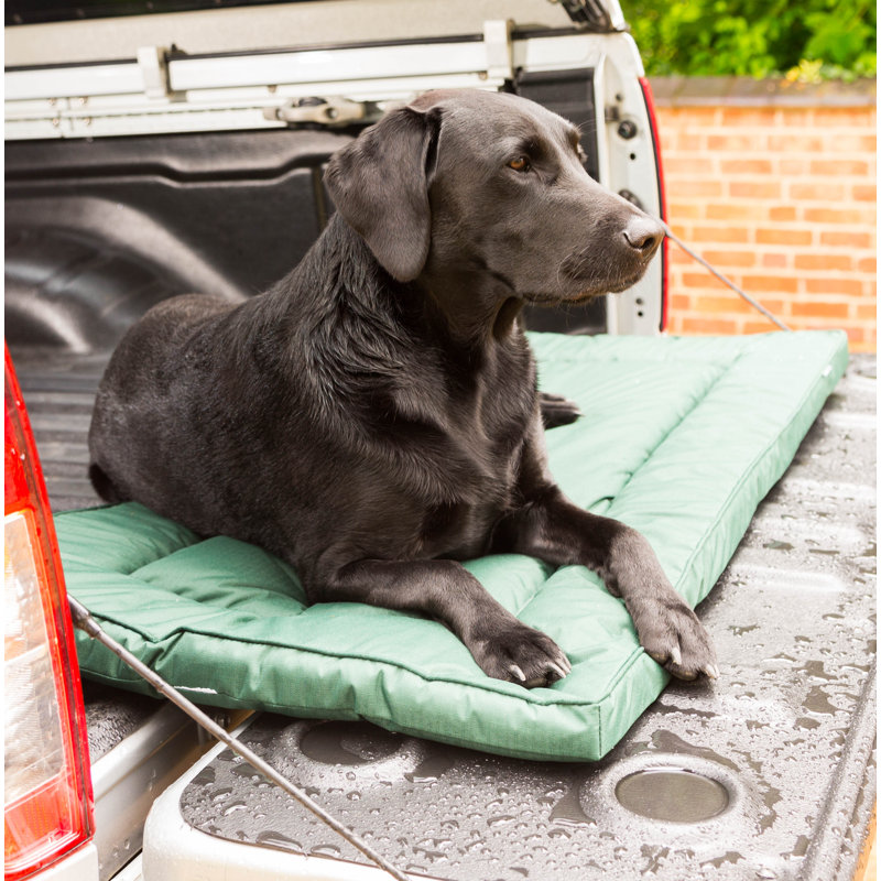 Luka Pet Bed, Large (5cm H x 59cm W x 82cm D)