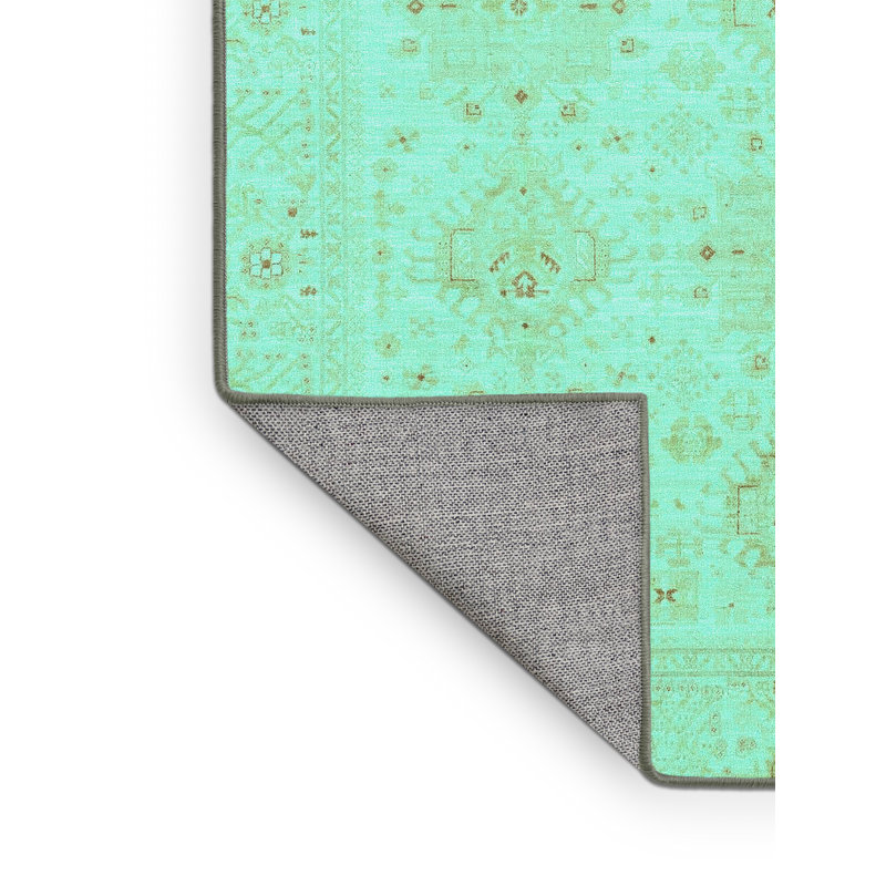 Washable Oriental Indoor Rug, Rectangle 2' x 3'