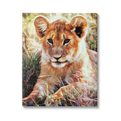 «Baby Lion Resting Animal Nature» par Ashley Aldridge, impression sur toile tendue
