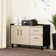 Peake 47.5'' Wide 2 - Drawer Filing Credenza with Cable Management