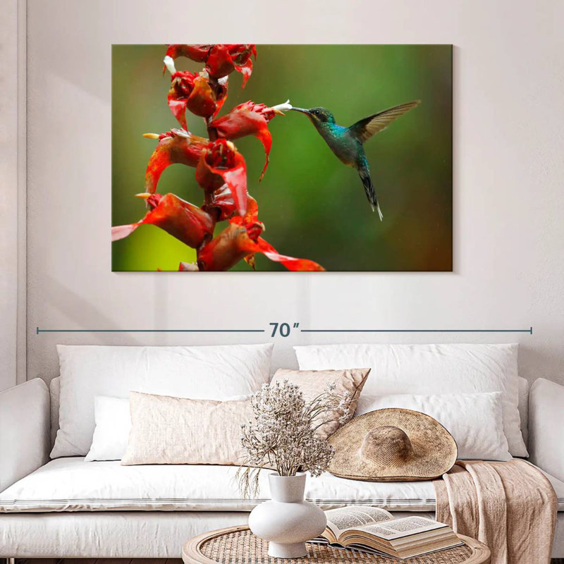 Collation de fleurs de colibri Brampt