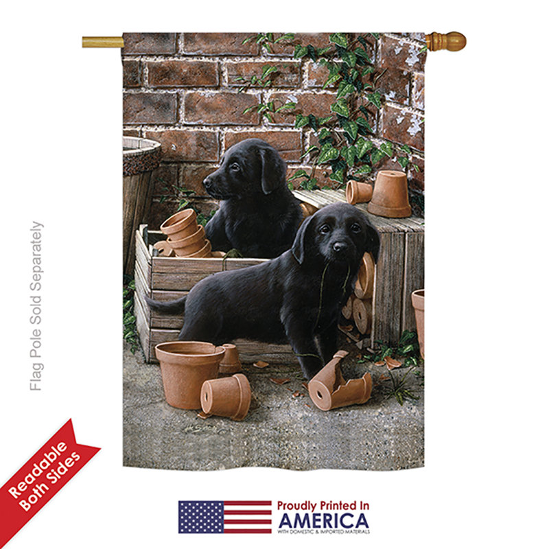 Double Sided Polyester Animal House Flag, 18.5" H x 13" W