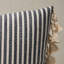 Mathis Ticking Stripe Pillow-78878727-79096948