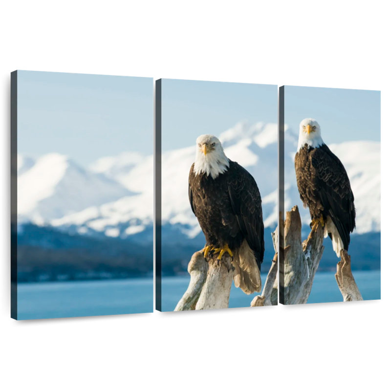 Bald Eagle Pair, 42" H x 65" W