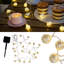 Normani 1.067cm LED Solar Powered 20 - Bulb String Light