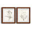 «Neutral Botanical Study VIIP», reproduction d'art encadrée - prête à être accrochée-558944160-558944181-559107761