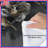 Group Of Small Birds Comforter-123586655