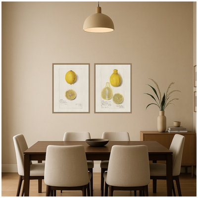 Vintage Lemon Illustration 2 Piece Framed Canvas Wall Art Set by Nostalgia Prints