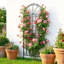  Treillis de jardin décoratif en métal H 70,8 po x l 24,5 po