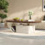 Table basse ovale de salon-109243423-109243425