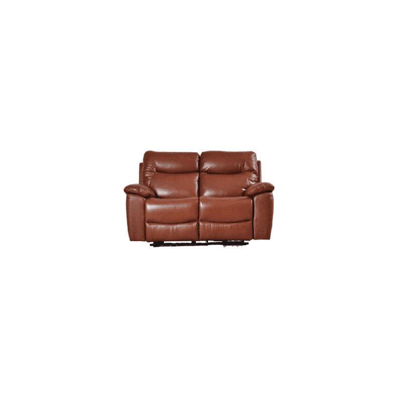 Amarien Genuine Leather Electric Power Recliner 2 Seater, Tan
