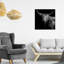 Realistic Black And White Highland Cow Photography Print by Oliver Gal-69850860-69850863