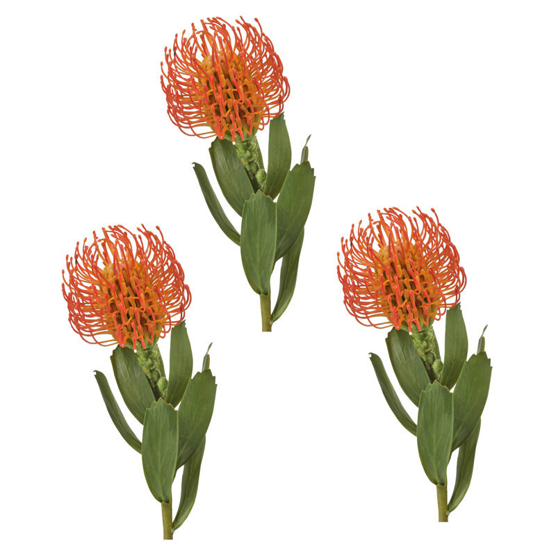 Coussin en plastique Protea 21 po , Orange
