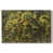 Silver Floater Framed Canvas est en rupture de stock