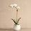 White Orchid Floral Arrangement Centerpiece In A White Vase