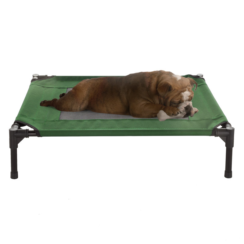 Lit surélevé pour chien PETMAKER 62 x 47 cm - Lit pour petits chiens, vert, Petit (l 24 po x P 18 po x H 7 po), Vert