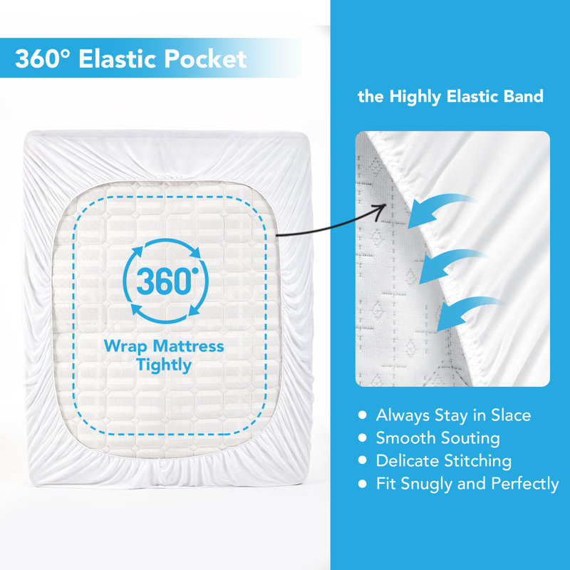 Oglethorpe Waterproof Zipper Mattress Protector Mattress Protector Case Pack, Queen