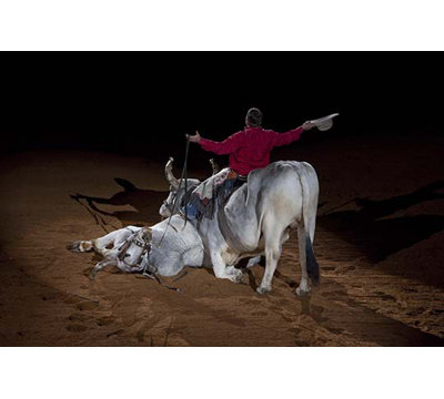 " Trick Riding " by Carol Highsmith