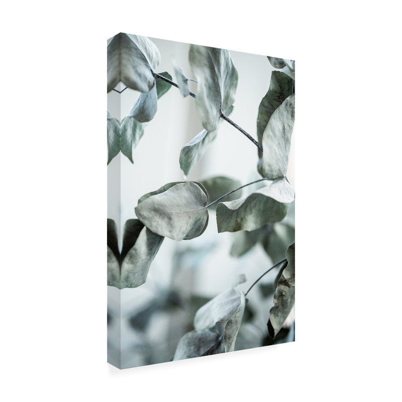 Bolog Mareike Bohmer  Eucalyptus 8 Canvas Art, 19" H x 12" W