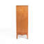 Armoire de salle de bain Modern