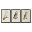 French Owls IV - Toile tendue avec châssis sur mesure - 3 pièces-117236676-117236679