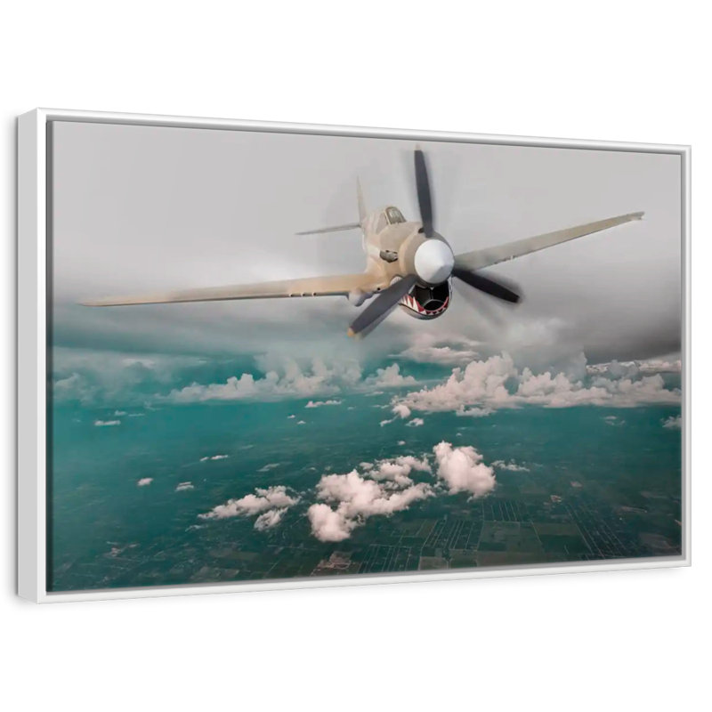 Avion Curtiss P 40 Warhawk, Cadre flottant blanc, 43 po x 29 po