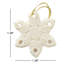 Snowflake 10 Piece Holiday Shaped Ornament Set