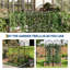Ensemble de 4 treillis de jardin en métal de 75 po pour plantes grimpantes, support de plantes d'extérieur antirouille pour vignes et légumes