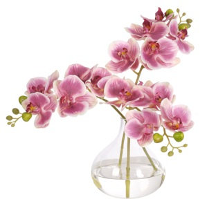 Real-Touch Orchid Phalaenopsis, Pink, Glass Vase