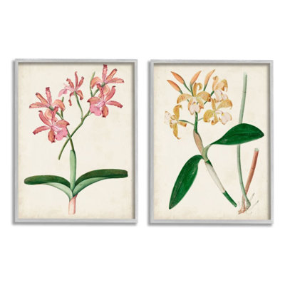 " Vintage Orchid Illustration Pink Yellow Florals " 2 - Pieces