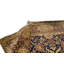Wool Oriental Area Rug