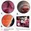 Pink Curious Pig I - Animals Canvas Wall Art-812237895-812239802