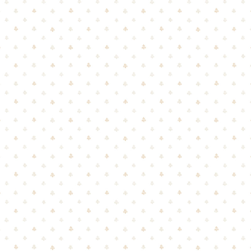 Danixsa Roll, Gris/beige