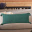 Insignia Cotton Throw Pillow-187714657-265685843