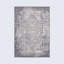 Tapis oriental gris / ivoire Alexander-1367488206