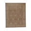 Oriental Area Rug in Orange